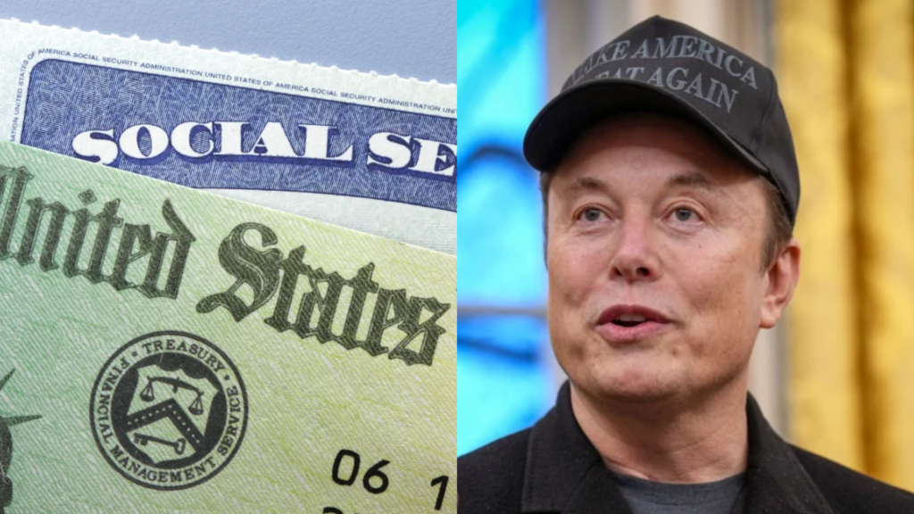 Musk shares ‘mind blowing’ chart showing millions of ‘noncitizens