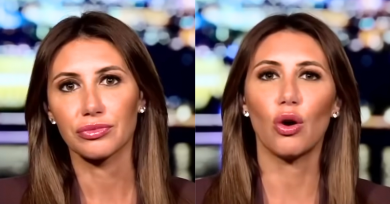 Habba Unloads Over Shocking ICE Incident as Dem Learns Wild News