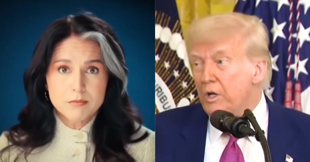 What Tulsi Gabbard Reportedly Broke With Trump On