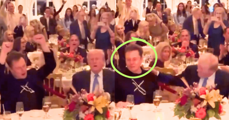 Elon Musk Scraps America Party Plans in Stunning Political U-Turn, Pivots to Supporting Vance’s 2028 Presidential Bid