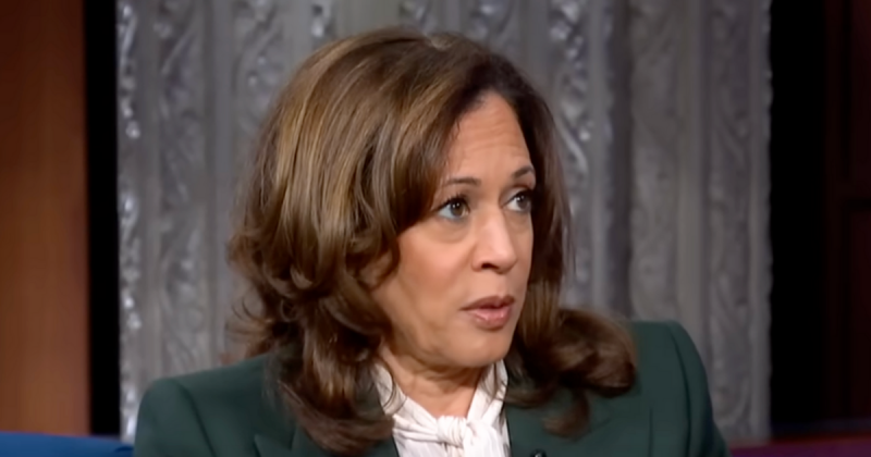 Kamala Reveals Shocking 2024 Election Admission