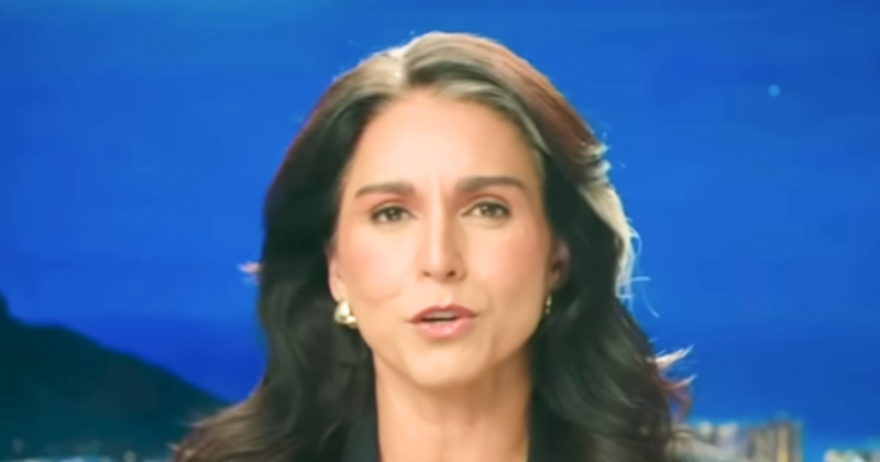 Gabbard Unleashed: Gloves Off Move Sends Shockwaves