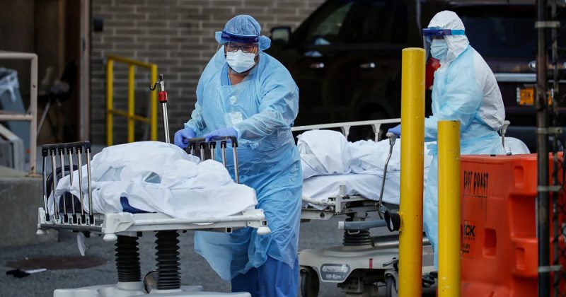 Scientists Create Untreatable Bird Flu Strain with 100% Kill Rate in Humans