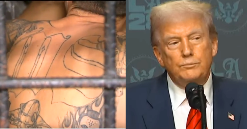 Convicted MS-13 Member Slaps Trump Admin With Bizarre Lawsuit
