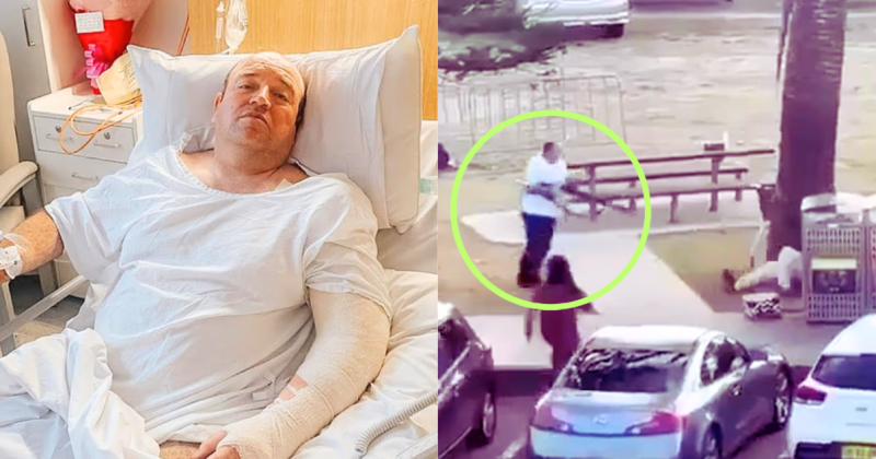 Why Hero Did Not Kill Terrorist Despite Getting Shot: Stunning Theory