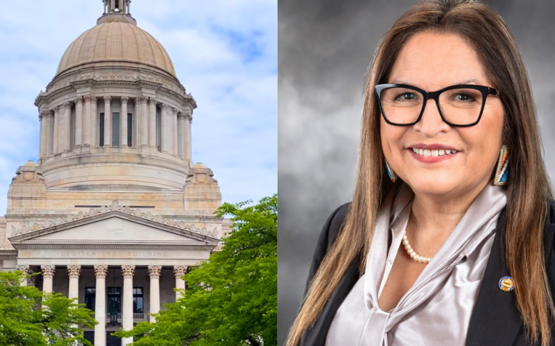 Blue State Dems Roll Out Controversial System That Raises Red Flags: Report