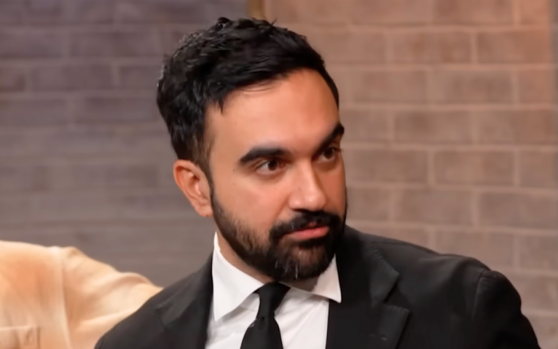 Mamdani Stabs Radical Dems