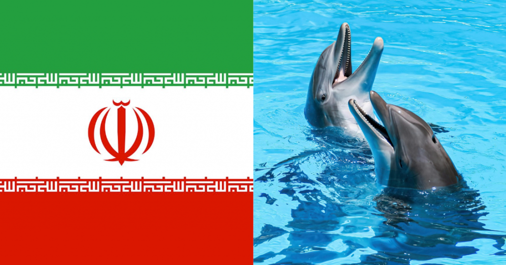 Iran, ‘Suicide Dolphins’ Report is Just Wild