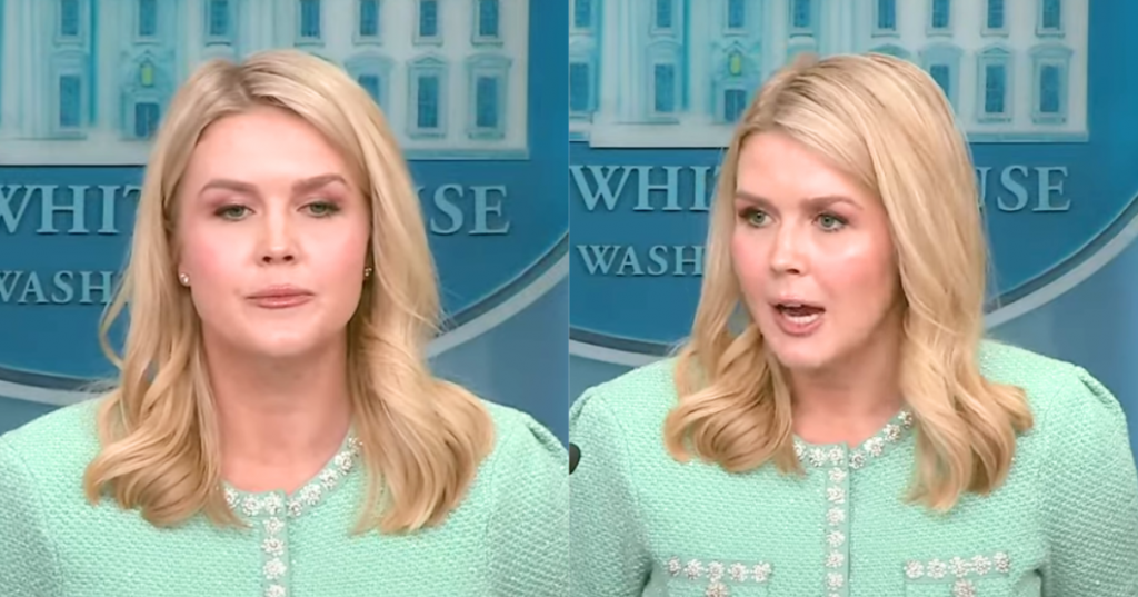Mystery Trump Admin Official Takes Over Press Briefing