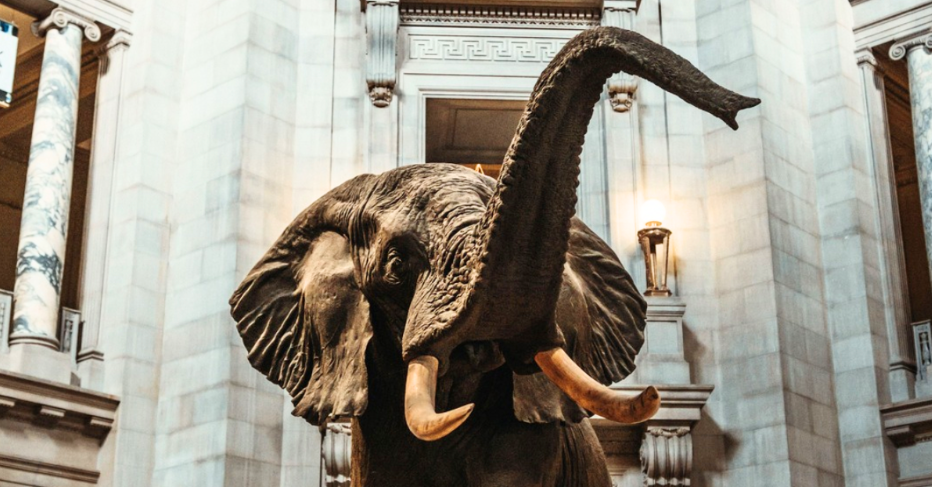 Disturbing Items on Display at Smithsonian’s National Museum Revealed