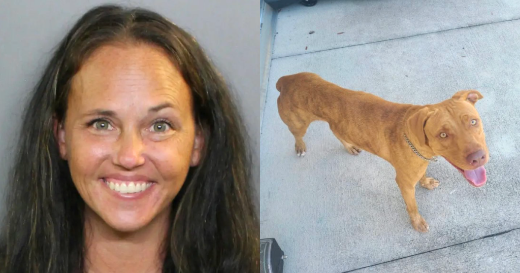 Married Woman Arrested for Having Sex With Family Dog